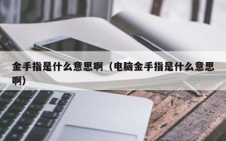 金手指是什么意思啊（电脑金手指是什么意思啊）