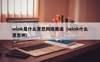 wink是什么意思网络用语（wink什么意思啊）