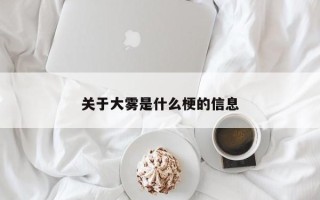 关于大雾是什么梗的信息