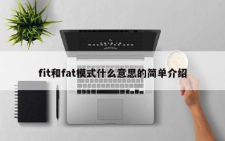 fit和fat模式什么意思的简单介绍