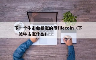 下一个牛市会暴涨的币filecoin（下一波牛市涨什么）