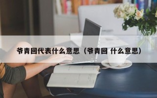 爷青回代表什么意思（爷青回 什么意思）