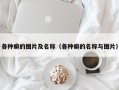 各种癣的图片及名称（各种癣的名称与图片）