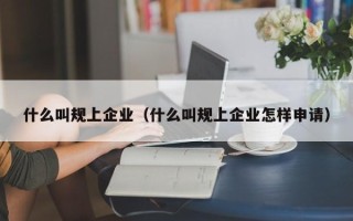 什么叫规上企业（什么叫规上企业怎样申请）