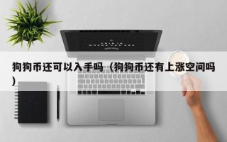 狗狗币还可以入手吗（狗狗币还有上涨空间吗）