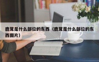 鹿茸是什么部位的东西（鹿茸是什么部位的东西图片）