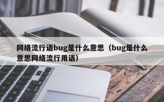 网络流行语bug是什么意思（bug是什么意思网络流行用语）