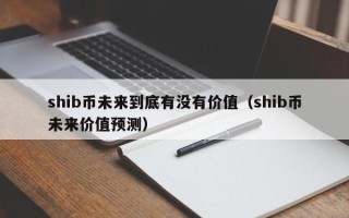 shib币未来到底有没有价值（shib币未来价值预测）