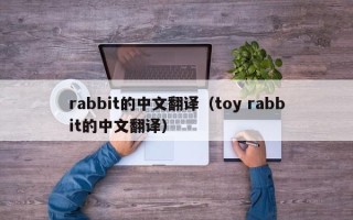 rabbit的中文翻译（toy rabbit的中文翻译）