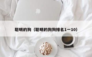 聪明的狗（聪明的狗狗排名1一10）