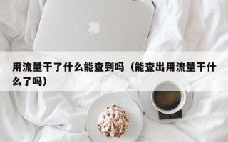 用流量干了什么能查到吗（能查出用流量干什么了吗）