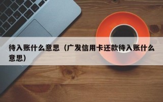 待入账什么意思（广发信用卡还款待入账什么意思）