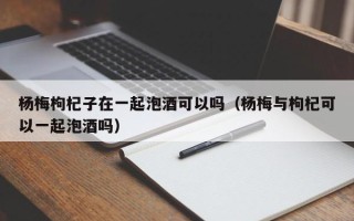 杨梅枸杞子在一起泡酒可以吗（杨梅与枸杞可以一起泡酒吗）