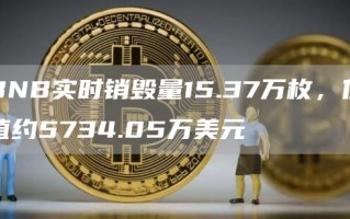 BNB实时销毁量15.37万枚，价值约5734.05万美元