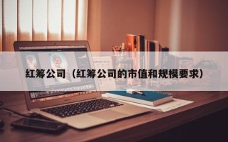 红筹公司（红筹公司的市值和规模要求）