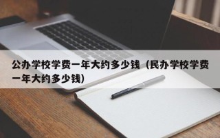 公办学校学费一年大约多少钱（民办学校学费一年大约多少钱）