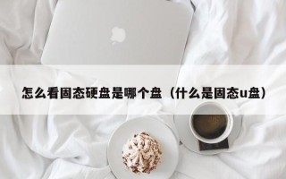 怎么看固态硬盘是哪个盘（什么是固态u盘）