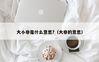 大小非是什么意思?（大非的意思）