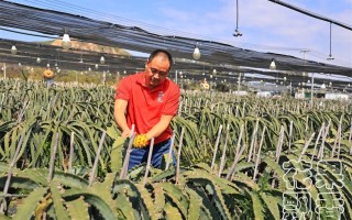 农业用地都可以经营什么项目（农业用地可以用来干什么）