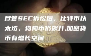 尽管SEC诉讼后，比特币以太坊、狗狗币仍飙升,加密货币有增长空间