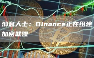 消息人士：Binance正在组建加密联盟