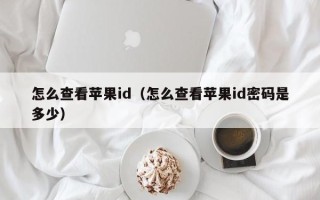 怎么查看苹果id（怎么查看苹果id密码是多少）