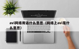 avi网络用语什么意思（网络上avi是什么意思）