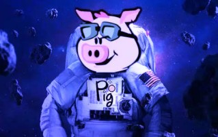 pig币国内版下载-pig币正式版下载v6.028中国版 pig币