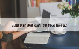 cd是男的还是女的（男的cd是什么）