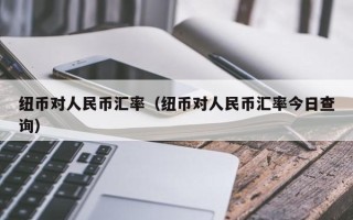 纽币对人民币汇率（纽币对人民币汇率今日查询）