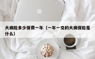 大病险多少保费一年（一年一交的大病保险是什么）