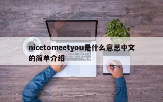 nicetomeetyou是什么意思中文的简单介绍