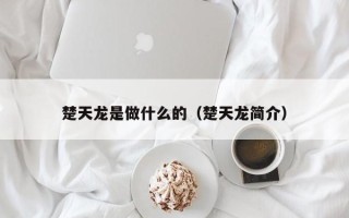 楚天龙是做什么的（楚天龙简介）