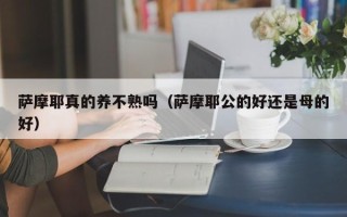 萨摩耶真的养不熟吗（萨摩耶公的好还是母的好）