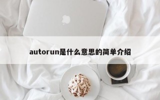 autorun是什么意思的简单介绍