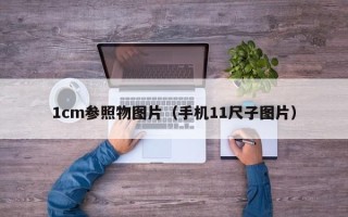 1cm参照物图片（手机11尺子图片）