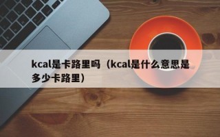 kcal是卡路里吗（kcal是什么意思是多少卡路里）