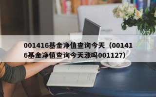 001416基金净值查询今天（001416基金净值查询今天涨吗001127）