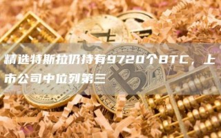 精选特斯拉仍持有9720个BTC，上市公司中位列第三