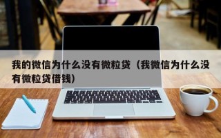 我的微信为什么没有微粒贷（我微信为什么没有微粒贷借钱）