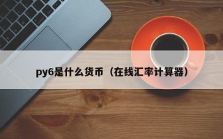 py6是什么货币（在线汇率计算器）