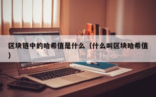 区块链中的哈希值是什么（什么叫区块哈希值）