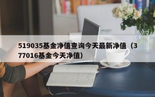 519035基金净值查询今天最新净值（377016基金今天净值）