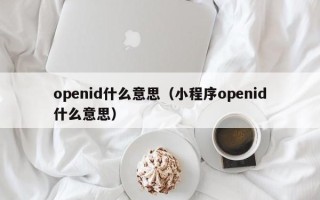 openid什么意思（小程序openid什么意思）