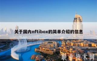 关于国内nftibox的简单介绍的信息