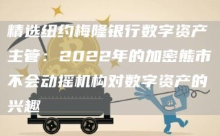 精选纽约梅隆银行数字资产主管：2022年的加密熊市不会动摇机构对数字资产的兴趣