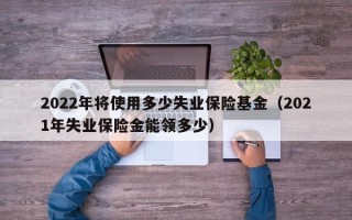 2022年将使用多少失业保险基金（2021年失业保险金能领多少）