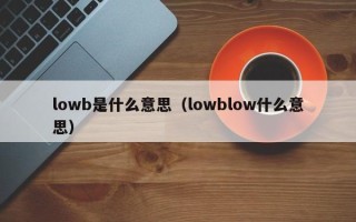 lowb是什么意思（lowblow什么意思）