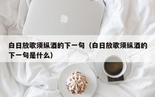 白日放歌须纵酒的下一句（白日放歌须纵酒的下一句是什么）