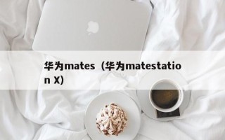 华为mates（华为matestation X）